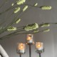 Burnet Spray groen