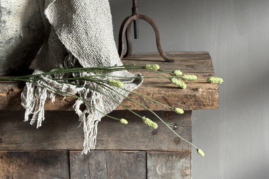 Burnet Spray groen