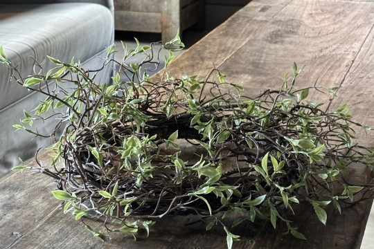 Kunst Salixkrans 