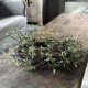 Kunst Salixkrans 
