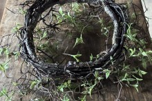 Kunst Salixkrans 