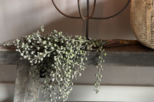 Kunst Dadeltak groen