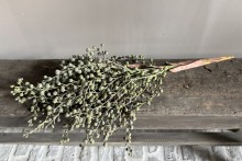 Kunst Dadeltak groen