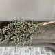 Kunst Dadeltak groen