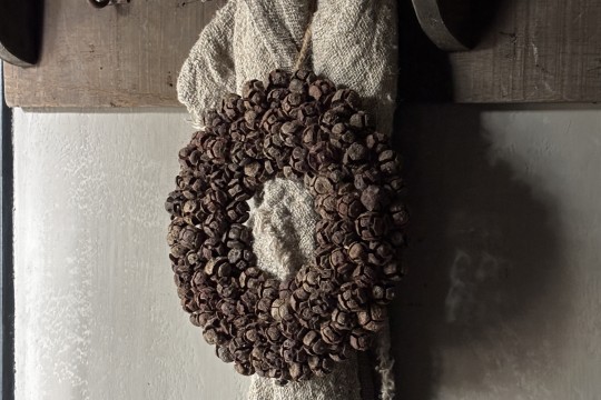Rota Krans vrucht  25 cm