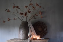 Klaproos Roestbruin.