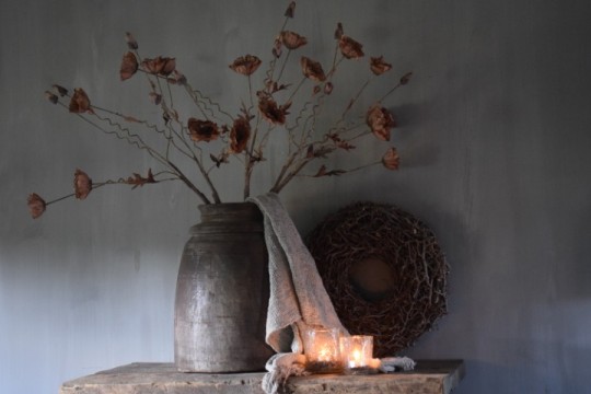 Klaproos Roestbruin.