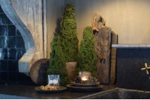 Kunst mos boompje L.