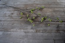 Kunsttak Rosehip Spray 105 cm – Bruine Tak met Groene Appeltjes