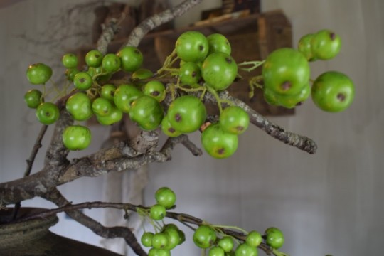 Kunsttak Malus groen.