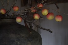 Kunst appeltak pink
