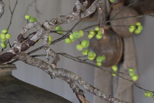 Kunsttak Rosehip Spray 105 cm – Bruine Tak met Groene Appeltjes