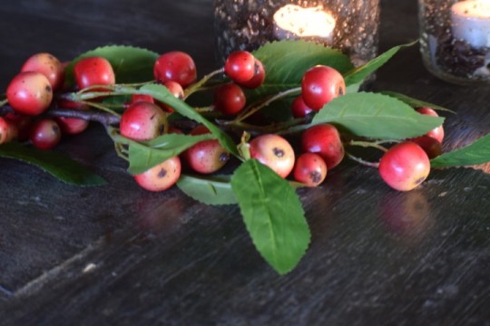 Kunsttak bruin met rode appeltjes