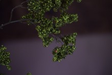 Kunst bessentak groen 115 cm