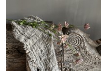 Astrantia Spray  