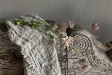 Astrantia Spray  